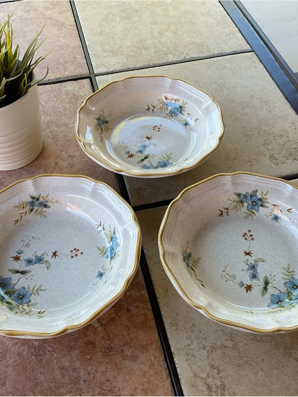Mikasa Garden Club Day Dreams EC461 8” Soup Salad Bowls, Set of 3, EUC